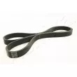 ASHIKA 112-6PK1540 - Courroie trapézoïdale à nervures