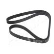 ASHIKA 112-6PK1563 - Courroie trapézoïdale à nervures