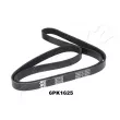 ASHIKA 112-6PK1625 - Courroie trapézoïdale à nervures
