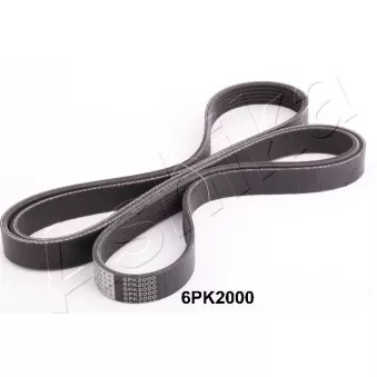 Courroie trapézoïdale à nervures ASHIKA OEM 1172069T03