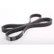 ASHIKA 112-6PK2085 - Courroie trapézoïdale à nervures