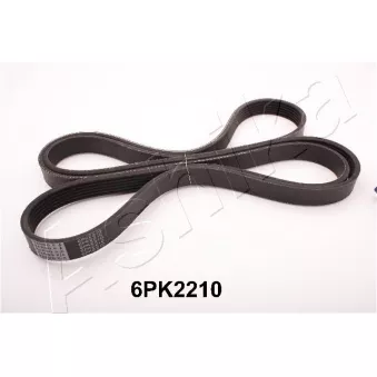 Courroie trapézoïdale à nervures ASHIKA OEM L32715909B