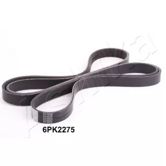 Courroie trapézoïdale à nervures ASHIKA OEM L3H515909A
