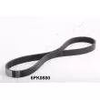 ASHIKA 112-6PK880 - Courroie trapézoïdale à nervures