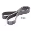 ASHIKA 112-6PK885 - Courroie trapézoïdale à nervures