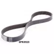 ASHIKA 112-6PK920 - Courroie trapézoïdale à nervures