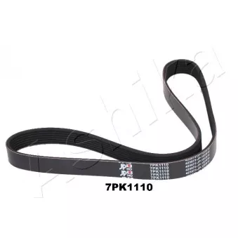 Courroie trapézoïdale à nervures ASHIKA OEM 1172000Q0J