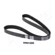 ASHIKA 112-7PK1280 - Courroie trapézoïdale à nervures