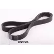 ASHIKA 112-7PK1380 - Courroie trapézoïdale à nervures