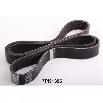 Courroie trapézoïdale à nervures ASHIKA OEM 31110PNEG04