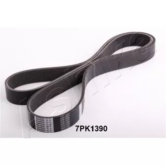 Courroie trapézoïdale à nervures ASHIKA 112-7PK1390