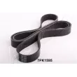 ASHIKA 112-7PK1595 - Courroie trapézoïdale à nervures