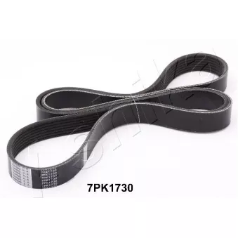 Courroie trapézoïdale à nervures ASHIKA OEM 252124A010
