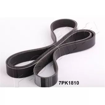 Courroie trapézoïdale à nervures ASHIKA OEM 9091602512