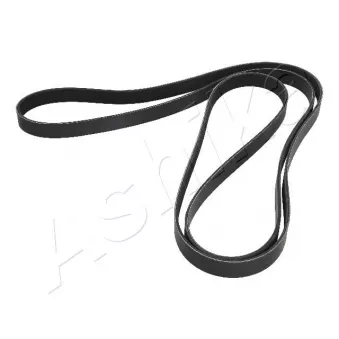 Courroie trapézoïdale à nervures ASHIKA OEM PQS500580