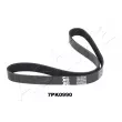Courroie trapézoïdale à nervures ASHIKA [112-7PK990]