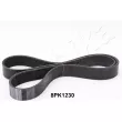 ASHIKA 112-8PK1230 - Courroie trapézoïdale à nervures
