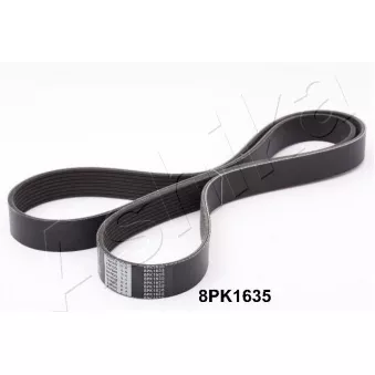 Courroie trapézoïdale à nervures ASHIKA OEM KJ0115907