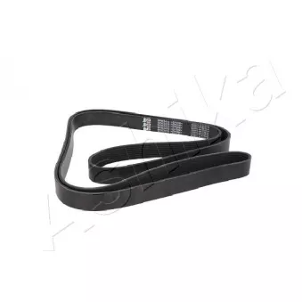 Courroie trapézoïdale à nervures ASHIKA 112-8PK2410