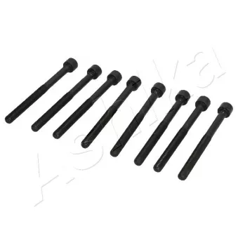 Vis de culasse ASHIKA OEM 6822JC