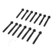 ASHIKA 115-05-503 - Boulon de culasse de cylindre