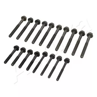 Vis de culasse ASHIKA OEM ETC8810