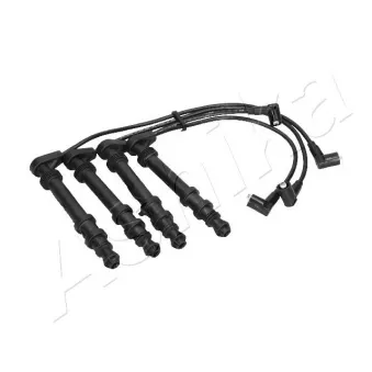 ASHIKA 132-00-0219 - Kit de câbles d'allumage