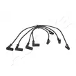 ASHIKA 132-00-0236 - Kit de câbles d'allumage