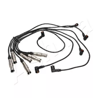 ASHIKA 132-00-0912 - Kit de câbles d'allumage