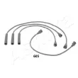 Kit de câbles d'allumage ASHIKA [132-06-605]