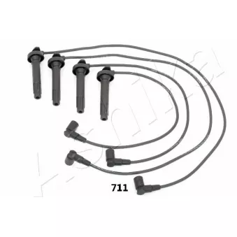Kit de câbles d'allumage ASHIKA OEM XC1474