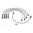 ASHIKA 132-08-817 - Kit de câbles d'allumage