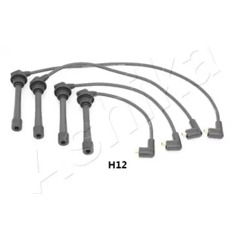 Kit de câbles d'allumage ASHIKA 132-0H-H12