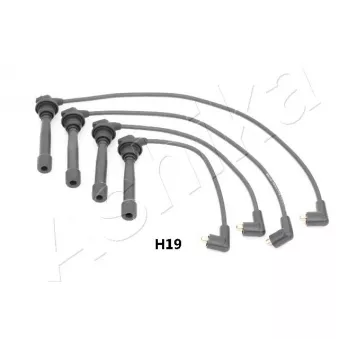 Kit de câbles d'allumage ASHIKA 132-0H-H19