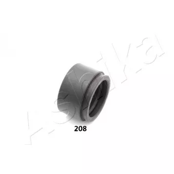 Piston, étrier de frein ASHIKA 133-02-208