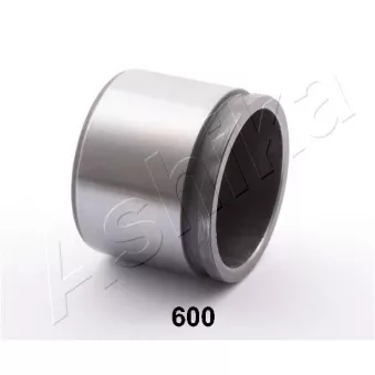 Piston, étrier de frein ASHIKA 133-06-600