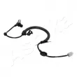 ASHIKA 151-01-126 - Capteur, vitesse de roue avant droit 