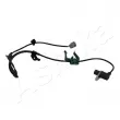 ASHIKA 151-02-217 - Capteur, vitesse de roue avant droit 