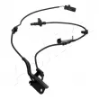 ASHIKA 151-02-281 - Capteur, vitesse de roue avant droit 