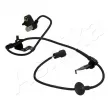 ASHIKA 151-03-320 - Capteur, vitesse de roue avant droit 