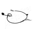 ASHIKA 151-03-323 - Capteur, vitesse de roue avant droit 