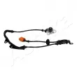 ASHIKA 151-04-415 - Capteur, vitesse de roue avant droit 