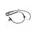 ASHIKA 151-08-813 - Capteur, vitesse de roue avant droit 
