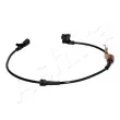 ASHIKA 151-09-910 - Capteur, vitesse de roue avant droit 