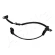 ASHIKA 151-0K-K36 - Capteur, vitesse de roue avant droit 