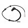 ASHIKA 151-0W-W14 - Capteur, vitesse de roue avant droit 