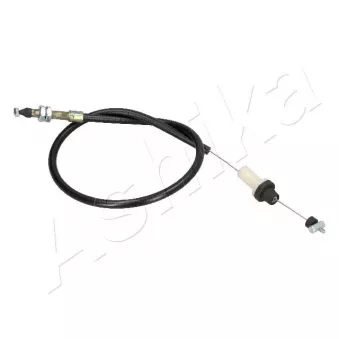 Câble d'accélération ASHIKA OEM 7618770