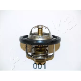ASHIKA 22-001 - Thermostat d'eau
