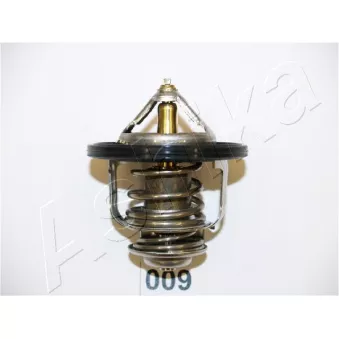 Thermostat d'eau Metalcaucho 03901