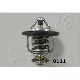 Thermostat d'eau GATES TH22682G1